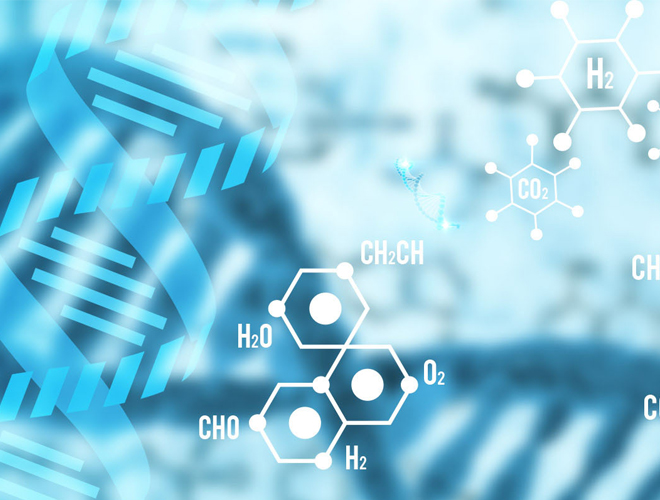 寡聚透明質(zhì)酸